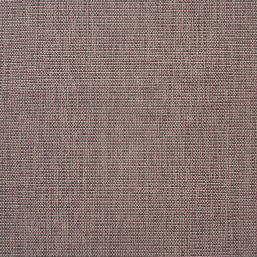 KRAVET COUTURE - BARRINGTON- PARADISE - Fabric by the Yard PARADISE