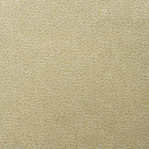 KRAVET COUTURE - POLLEN- HONEY - Fabric by the Yard HONEY