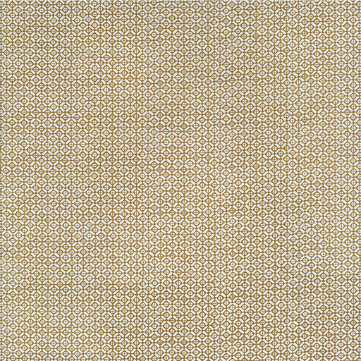 KRAVET COUTURE - AM100386 - AUDLEY OUTDOOR - Fabric By the Yard