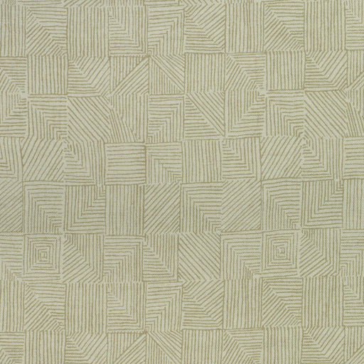 KRAVET COUTURE - BARK- LICHEN - Fabric by the Yard LICHEN