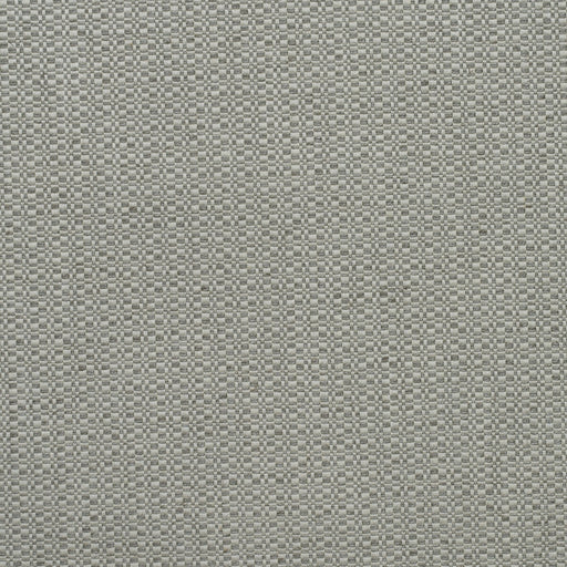 KRAVET COUTURE - BIRCH- FOG - Fabric by the Yard FOG