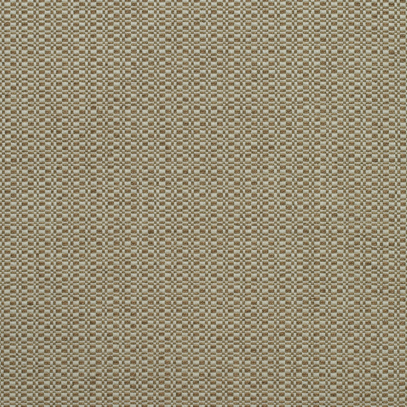 KRAVET COUTURE - BIRCH- AUTUMN - Fabric by the Yard AUTUMN
