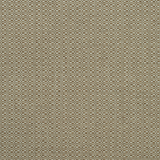 KRAVET COUTURE - BIRCH- AUTUMN - Fabric by the Yard AUTUMN