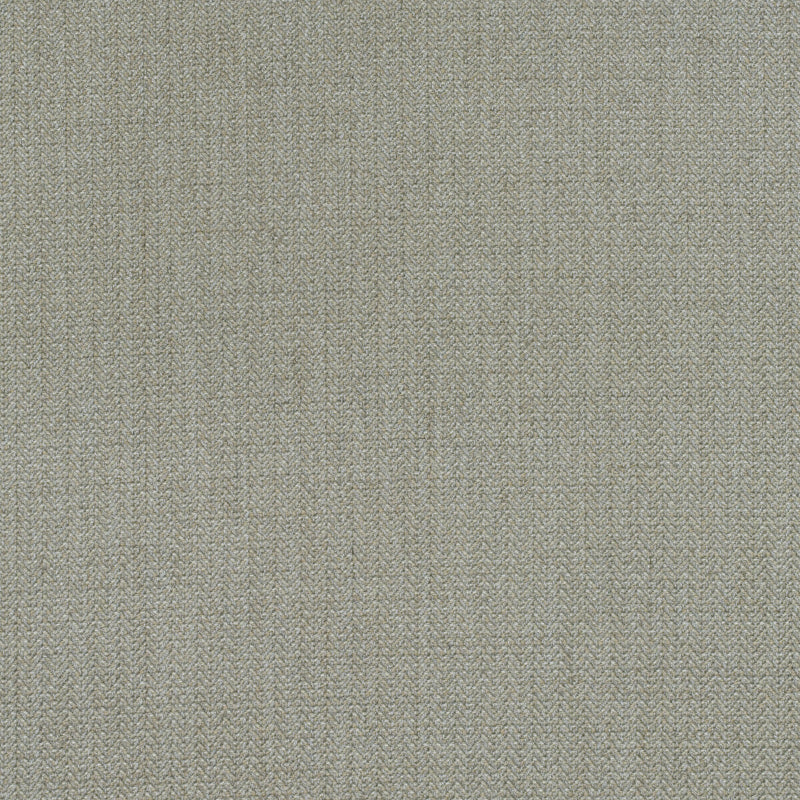 KRAVET COUTURE - BIRDS FOOT- STONE - Fabric by the Yard STONE