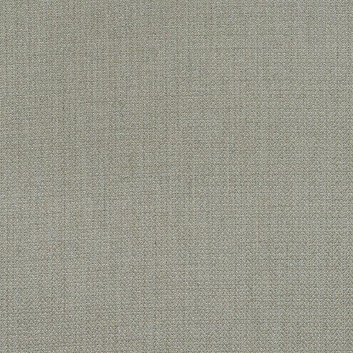 KRAVET COUTURE - BIRDS FOOT- STONE - Fabric by the Yard STONE
