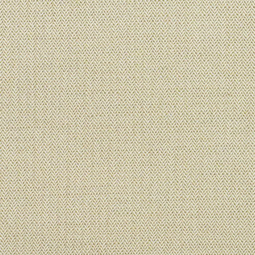 KRAVET COUTURE - BIRDS FOOT- AUTUMN - Fabric by the Yard AUTUMN