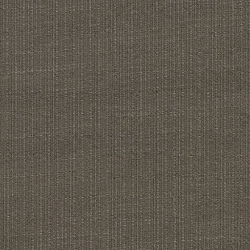 KRAVET COUTURE - HAZEL- STONE - Fabric by the Yard STONE