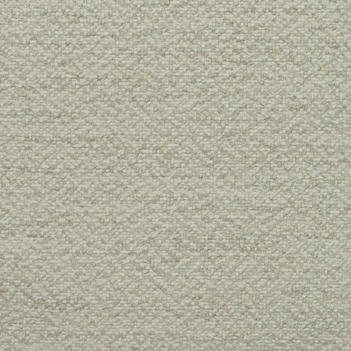 KRAVET COUTURE - SPECKLED EGG- STONE - Fabric by the Yard STONE