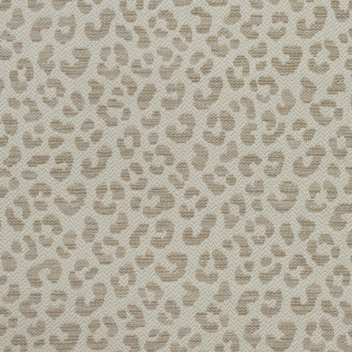 KRAVET COUTURE - WILDCAT- STONE - Fabric by the Yard STONE