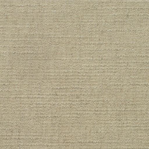 KRAVET COUTURE - AM100401 - WREN - Fabric By the Yard