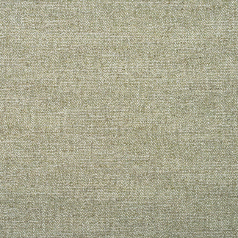 KRAVET COUTURE - WREN- MOSS - Fabric by the Yard MOSS