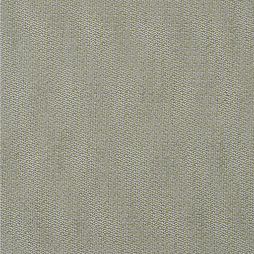 KRAVET COUTURE - RAVELLO- LEAF - Fabric by the Yard LEAF
