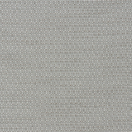 KRAVET COUTURE - TENDER- STORM - Fabric by the Yard STORM
