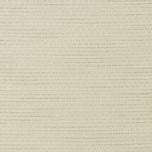 KRAVET COUTURE - TENDER- CHALK - Fabric by the Yard CHALK