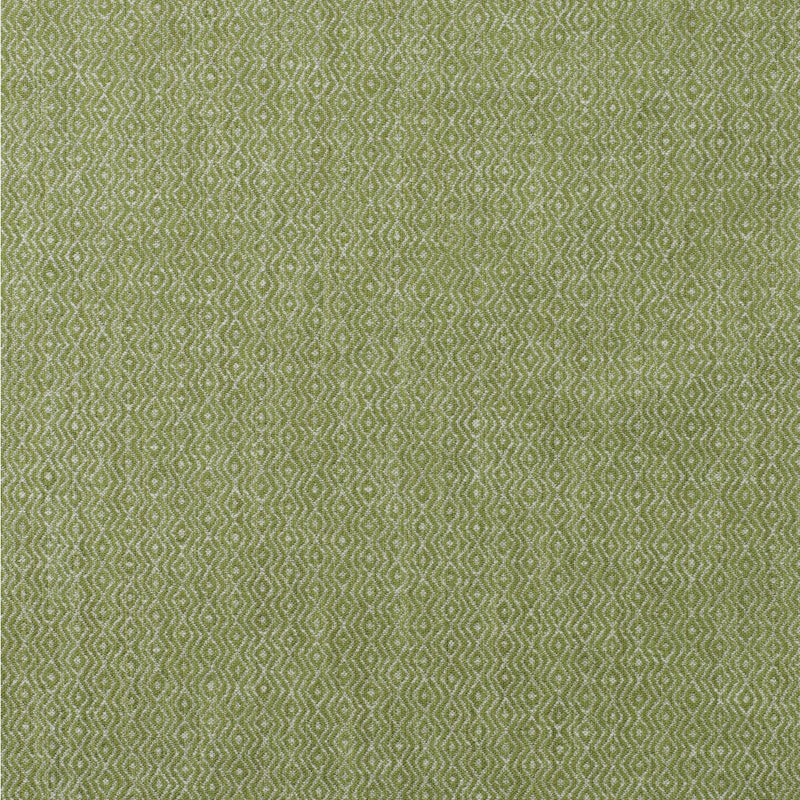 KRAVET COUTURE - RIVERBANK- REED - Fabric by the Yard REED