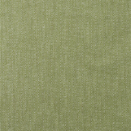 KRAVET COUTURE - RIVERBANK- REED - Fabric by the Yard REED
