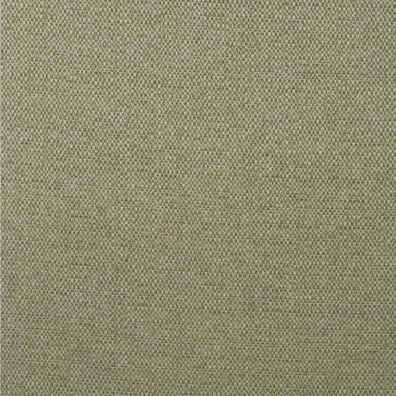 KRAVET COUTURE - JETTY- REED - Fabric by the Yard REED
