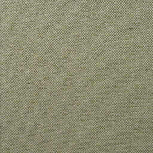 KRAVET COUTURE - JETTY- REED - Fabric by the Yard REED