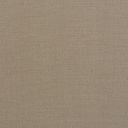 KRAVET COUTURE - CORACLE- CHALK - Fabric by the Yard CHALK