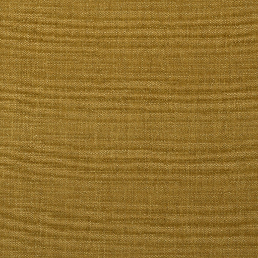 KRAVET COUTURE - AM100439 - CORACLE - Fabric By the Yard