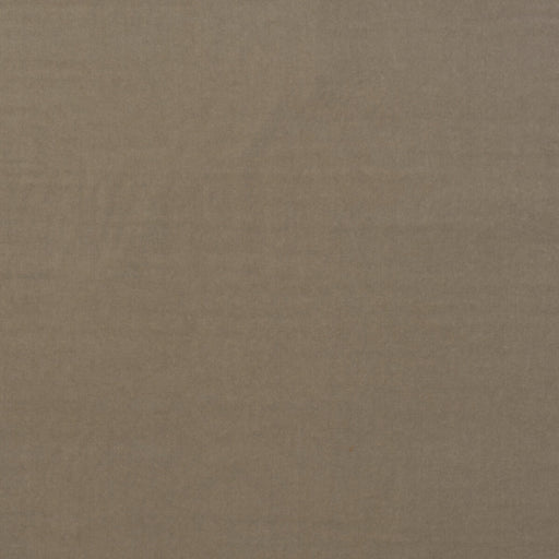 KRAVET COUTURE - MEDICI- STONE - Fabric by the Yard STONE