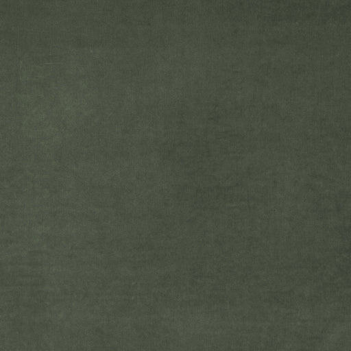 KRAVET COUTURE - MEDICI- SLATE - Fabric by the Yard SLATE