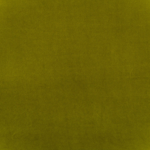KRAVET COUTURE - MEDICI- PEAR - Fabric by the Yard PEAR