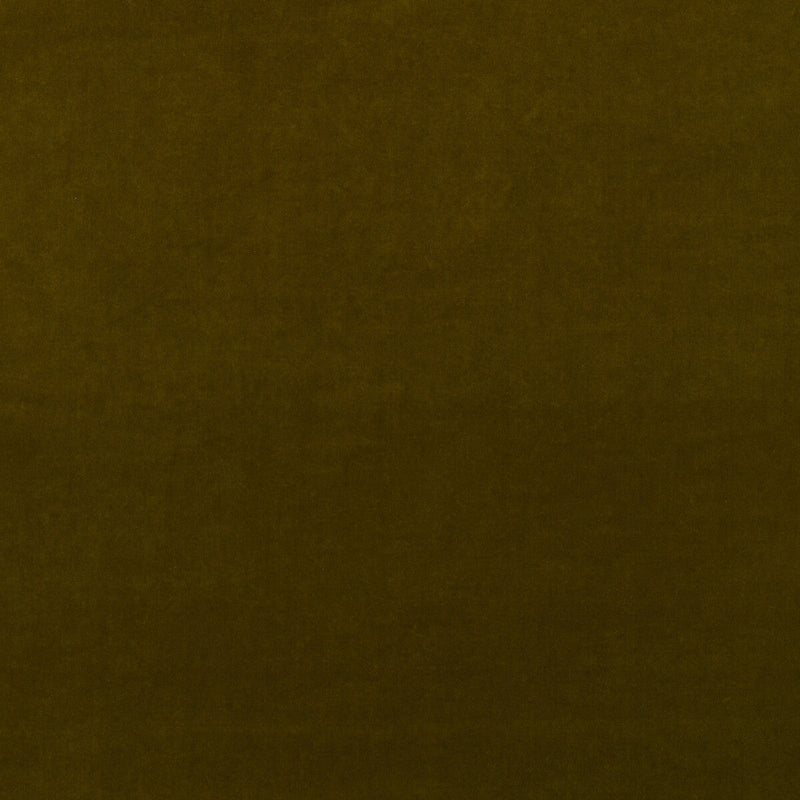 KRAVET COUTURE - MEDICI- OLIVE - Fabric by the Yard OLIVE