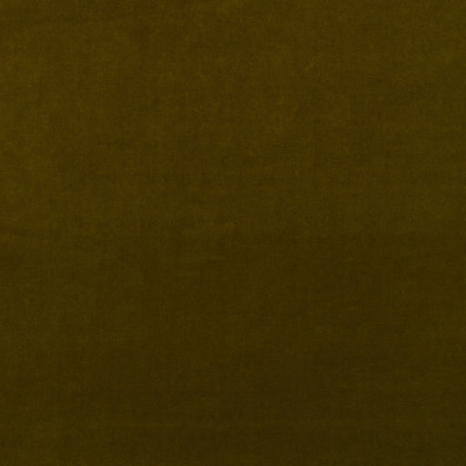 KRAVET COUTURE - MEDICI- OLIVE - Fabric by the Yard OLIVE