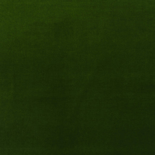 KRAVET COUTURE - MEDICI- IVY - Fabric by the Yard IVY