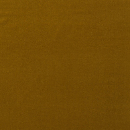 KRAVET COUTURE - MEDICI- QUINCE - Fabric by the Yard QUINCE
