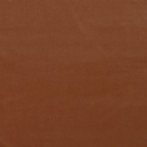 KRAVET COUTURE - MEDICI- PIGMENT - Fabric by the Yard PIGMENT