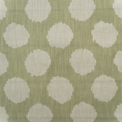 KRAVET COUTURE - BEEHIVE- FENNEL - Fabric by the Yard FENNEL
