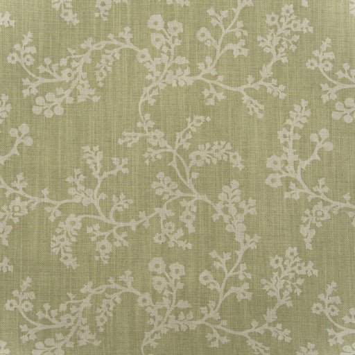KRAVET COUTURE - VINE- FENNEL - Fabric by the Yard FENNEL