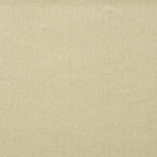 KRAVET COUTURE - ROCCO- ECRU - Fabric by the Yard ECRU