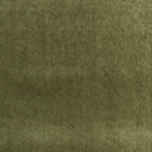 KRAVET COUTURE - VENETIA- OLIVE - Fabric by the Yard OLIVE