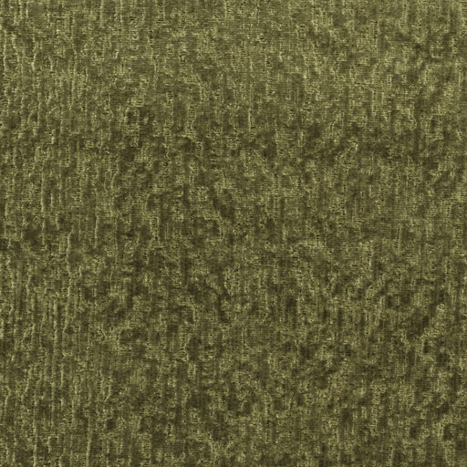 KRAVET COUTURE - ROMA- OLIVE - Fabric by the Yard OLIVE