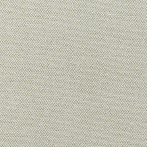 KRAVET COUTURE - SANREMO- ECRU - Fabric by the Yard ECRU