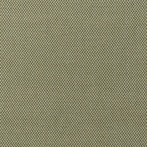 KRAVET COUTURE - SANREMO- OLIVE - Fabric by the Yard OLIVE
