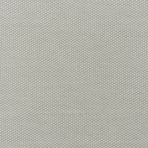 KRAVET COUTURE - TAORMINA- ASH - Fabric by the Yard ASH