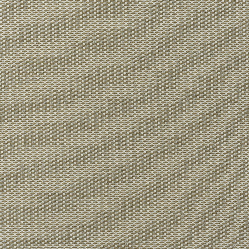 KRAVET COUTURE - TAORMINA- ALMOND - Fabric by the Yard ALMOND