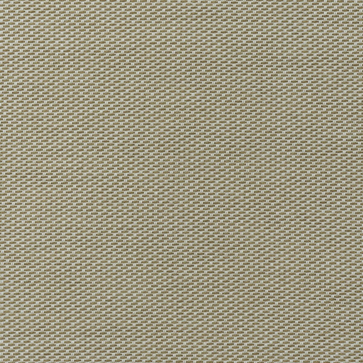 KRAVET COUTURE - TAORMINA- ALMOND - Fabric by the Yard ALMOND