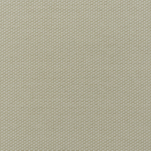 KRAVET COUTURE - TAORMINA- STONE - Fabric by the Yard STONE