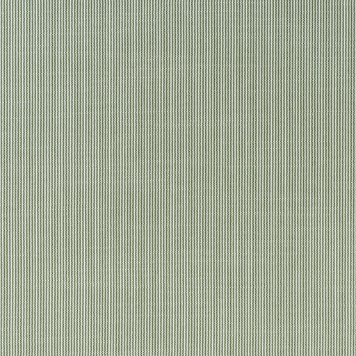 KRAVET COUTURE - ESPADRILLE- CYPRESS - Fabric by the Yard CYPRESS