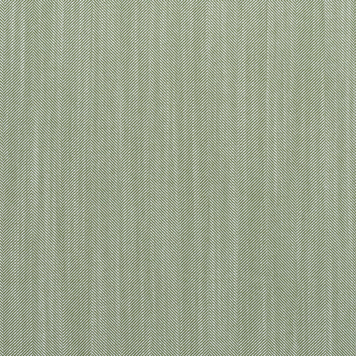 KRAVET COUTURE - RIVIERA- CYPRESS - Fabric by the Yard CYPRESS