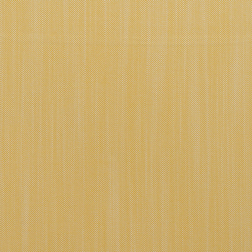 KRAVET COUTURE - RIVIERA- SOLE - Fabric by the Yard SOLE