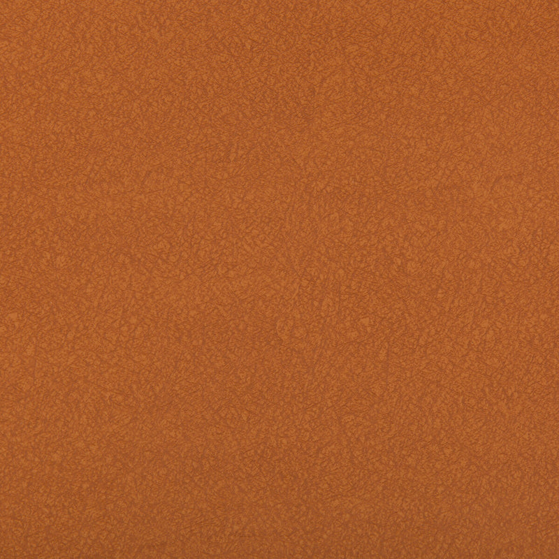 KRAVET CONTRACT - AMES- CANYON - Fabric by the Yard CANYON