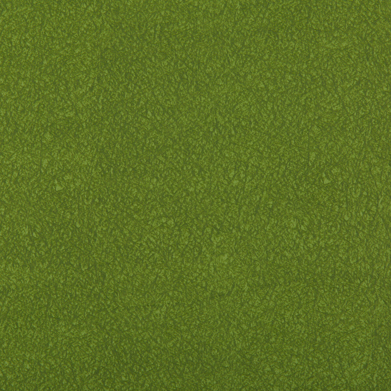 KRAVET CONTRACT - AMES- MOSS - Fabric by the Yard MOSS
