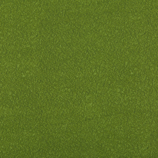 KRAVET CONTRACT - AMES- MOSS - Fabric by the Yard MOSS