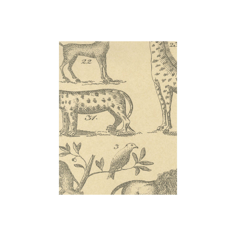 KRAVET COUTURE - ARK- PARCHMENT - Wallcovering by the Roll PARCHMENT